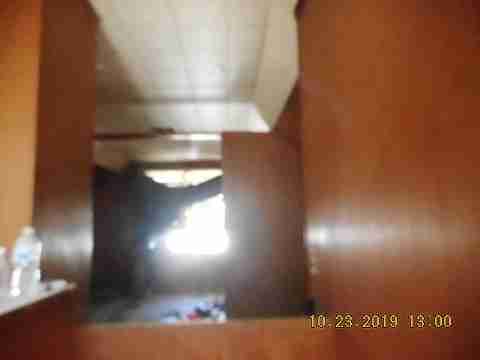 11377 Penrod (23)_m.jpg